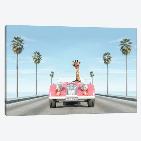 Vintage Pink Car With Giraffe Canvas Print #TTP36} by Tiny Treasure Prints Canvas Print