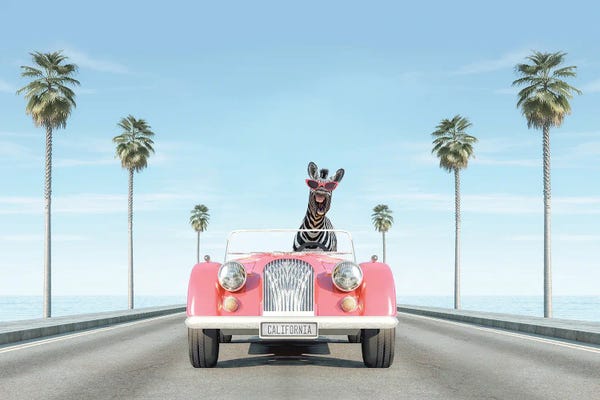 Zebras: Vintage Pink Car With Zebra by Tiny Treasure Prints