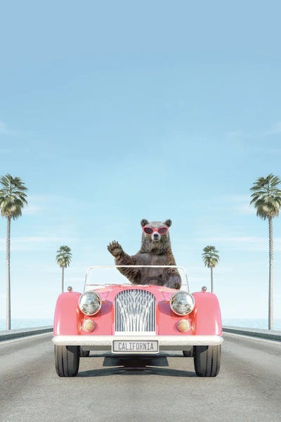 Brown Bears: Pink Vintage Car With Bear by Tiny Treasure Prints
