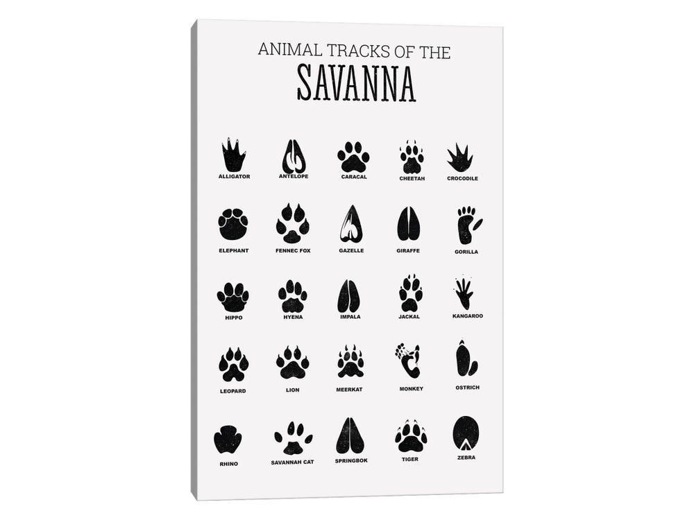 Animal Tracks Of The Savanna Canva - Canvas Art