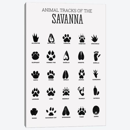 Animal Tracks Of The Savanna Canvas Print #TTP3} by Tiny Treasure Prints Canvas Wall Art