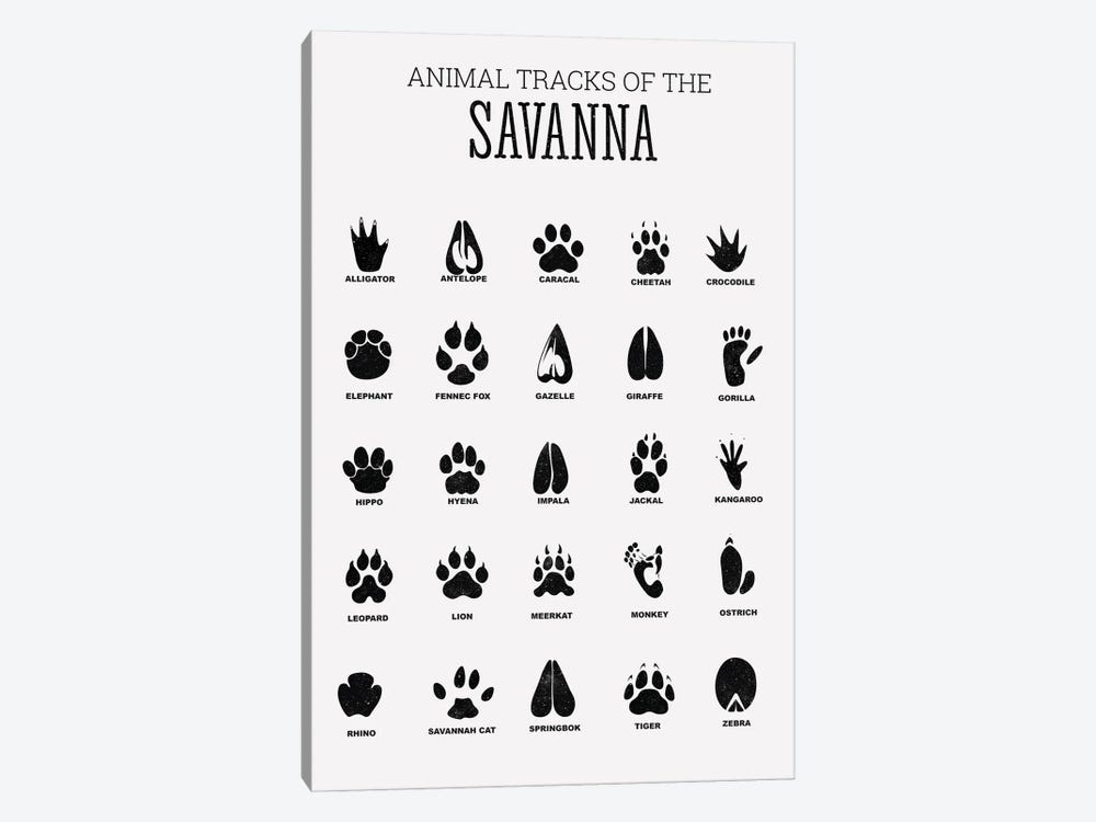 Animal Tracks Of The Savanna by Tiny Treasure Prints 1-piece Canvas Art