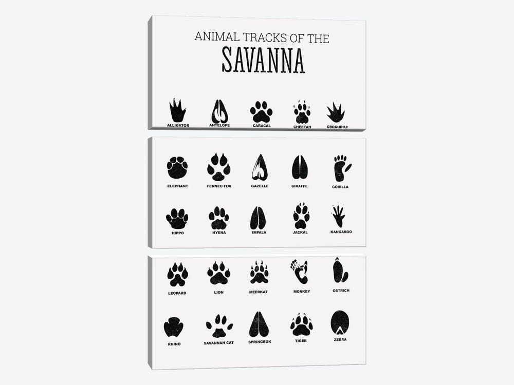 Animal Tracks Of The Savanna by Tiny Treasure Prints 3-piece Canvas Art