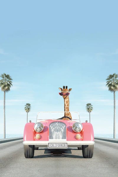 Pink Vintage Car With Giraffe by Tiny Treasure Prints canvas print
