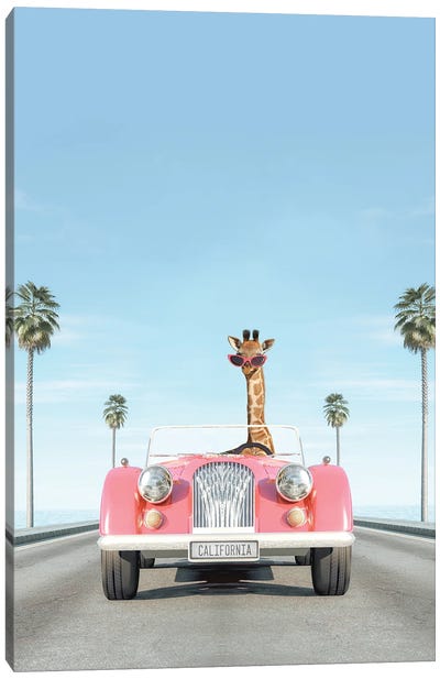 Pink Vintage Car With Giraffe Canvas Art Print - Tiny Treasure Prints
