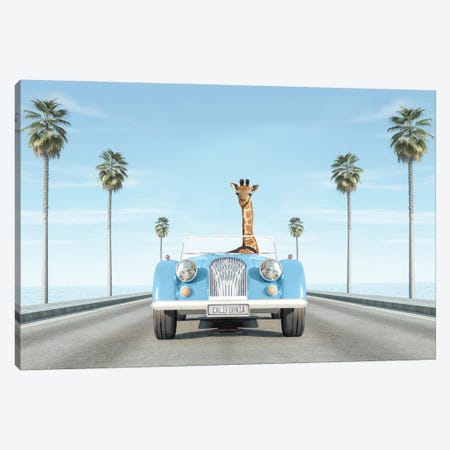 Blue Vintage Car With Giraffe In California Canvas Print #TTP42} by Tiny Treasure Prints Canvas Art Print