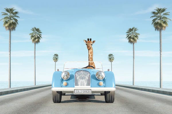 Kids Transportation Art: Blue Vintage Car With Giraffe In California by Tiny Treasure Prints