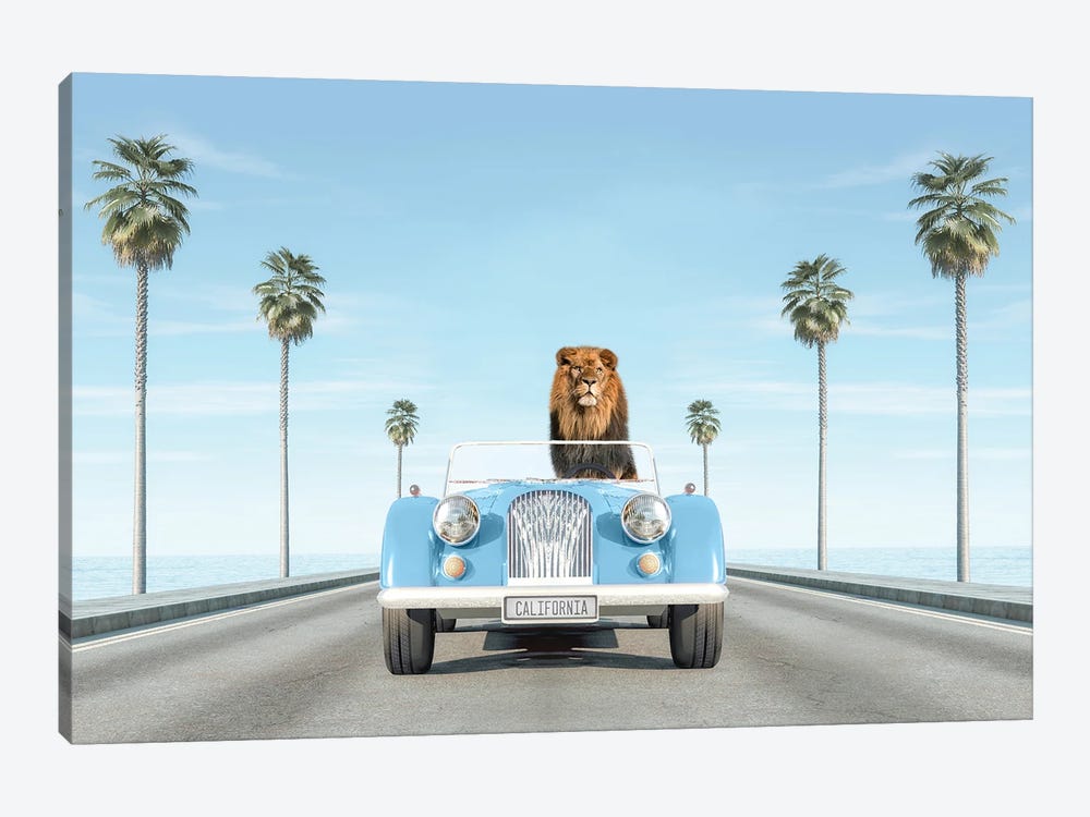 Blue Vintage Car With Lion In California by Tiny Treasure Prints 1-piece Canvas Artwork