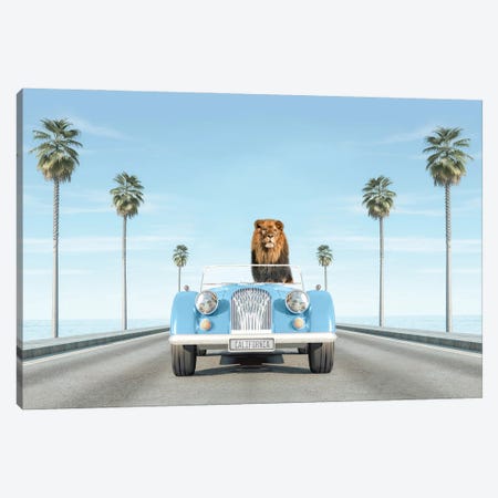 Blue Vintage Car With Lion In California Canvas Print #TTP43} by Tiny Treasure Prints Canvas Print
