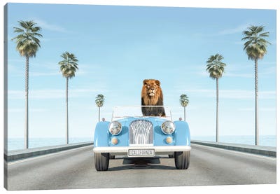 Blue Vintage Car With Lion In California Canvas Art Print - Tiny Treasure Prints