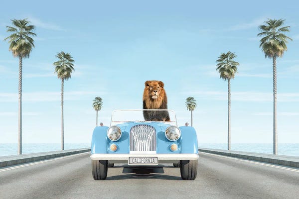 Kids Transportation Art: Blue Vintage Car With Lion In California by Tiny Treasure Prints
