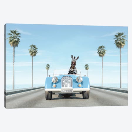 Blue Vintage Car With Zebra In California Canvas Print #TTP44} by Tiny Treasure Prints Canvas Wall Art