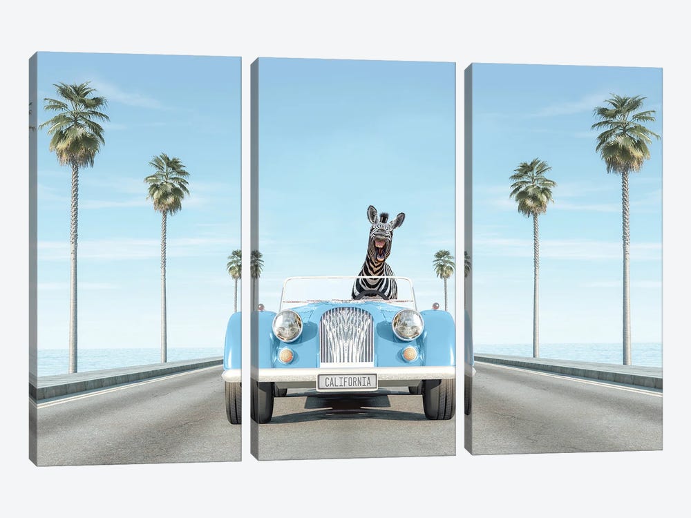 Blue Vintage Car With Zebra In California by Tiny Treasure Prints 3-piece Canvas Print