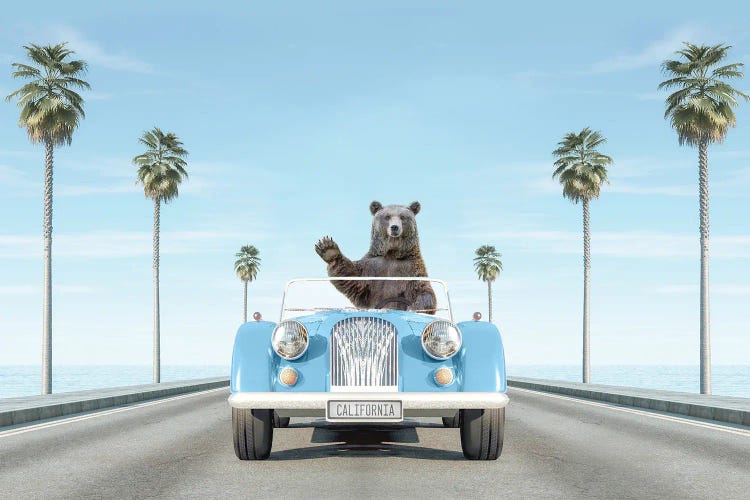 Blue Vintage Car In California With Bear