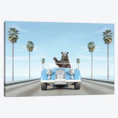 Blue Vintage Car In California With Bear Canvas Print #TTP45} by Tiny Treasure Prints Canvas Art