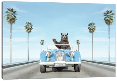 Blue Vintage Car In California With Bear Canvas Art Print - Brown Bear Art