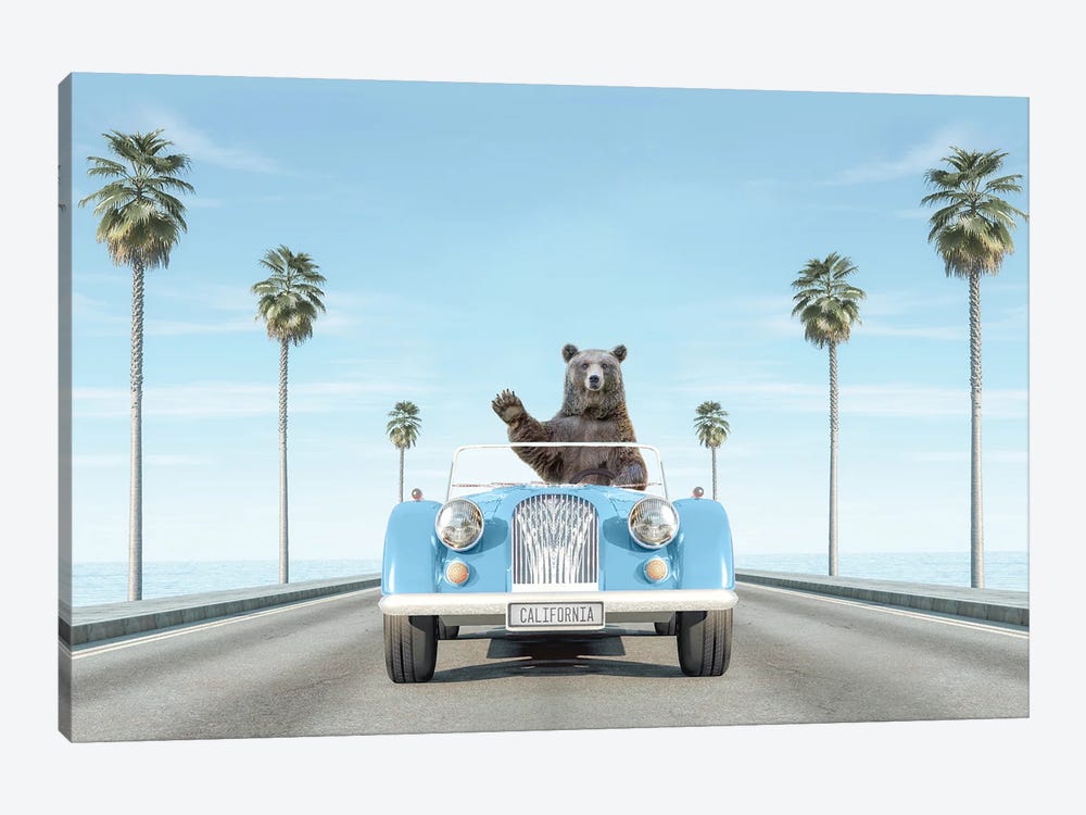 Blue Vintage Car In California With Bear by Tiny Treasure Prints 1-piece Canvas Art