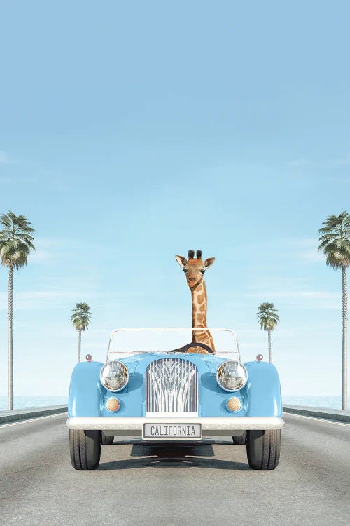 Blue Vintage Car With Giraffe