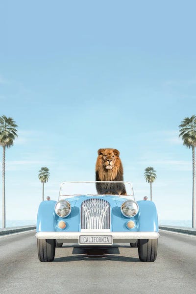 Kids Transportation Art: Blue Vintage Car With Lion by Tiny Treasure Prints