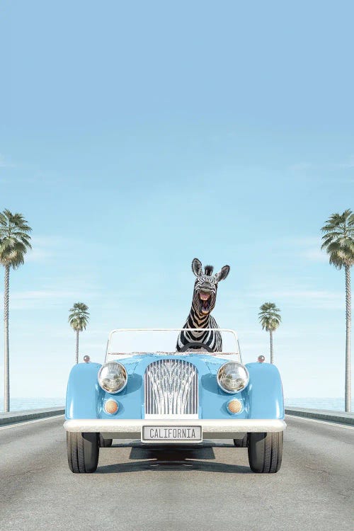 Blue Vintage Car With Zebra