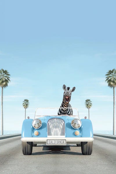 Zebras: Blue Vintage Car With Zebra by Tiny Treasure Prints