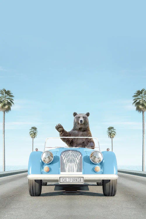 Blue Vintage Car With Bear