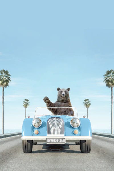 Brown Bears: Blue Vintage Car With Bear by Tiny Treasure Prints