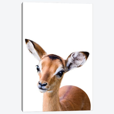 Antelope Canvas Print #TTP4} by Tiny Treasure Prints Canvas Print