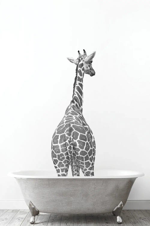 Giraffe In Tub Black And White