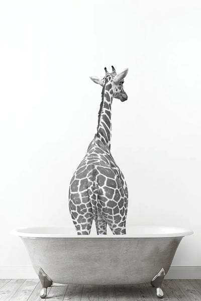 Giraffes: Giraffe In Tub Black And White by Tiny Treasure Prints