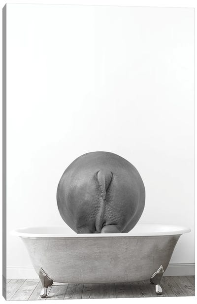 Hippo In Tub Black And White Canvas Art Print