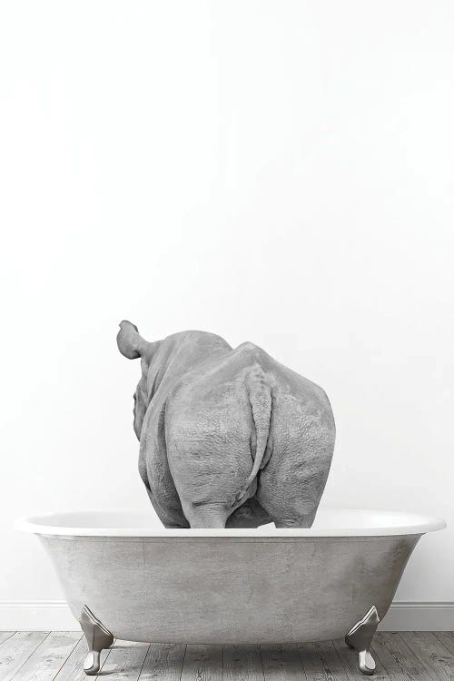 Rhino In Tub Black And White