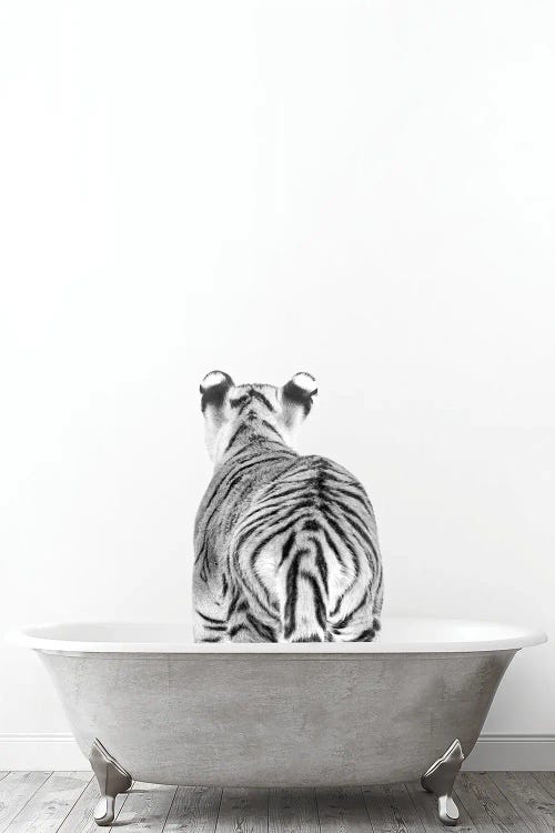 Tiger In Tub Black And White