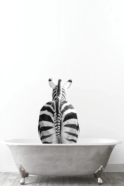 Zebra In Tub Black And White