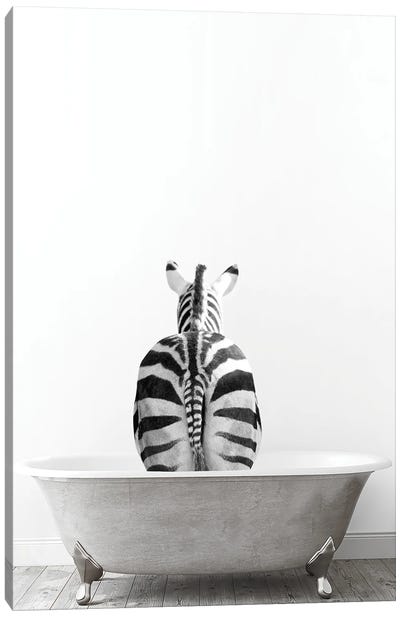Zebra In Tub Black And White Canvas Art Print - Zebra Art