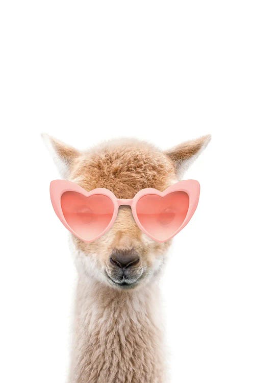 Llama With Pink Sunglasses