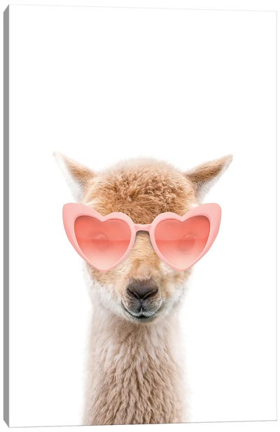 Llama With Pink Sunglasses Canvas Art Print
