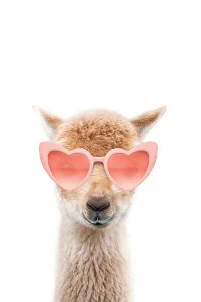 Llamas: Llama With Pink Sunglasses by Tiny Treasure Prints