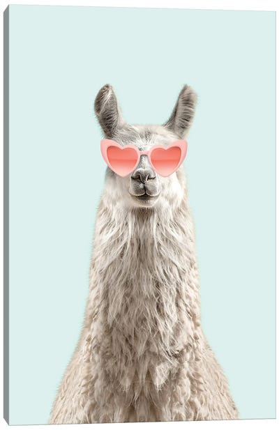 Alpaca With Pink Sunglasses Canvas Art Print - Llama & Alpaca Art