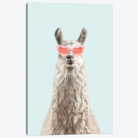 Alpaca With Pink Sunglasses Canvas Print #TTP60} by Tiny Treasure Prints Canvas Print