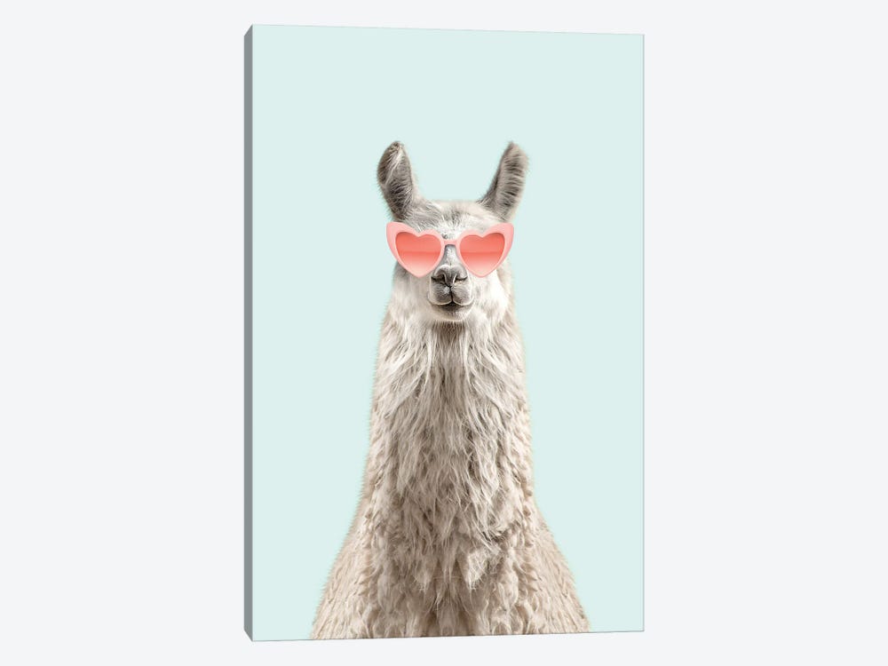 Alpaca With Pink Sunglasses by Tiny Treasure Prints 1-piece Canvas Print