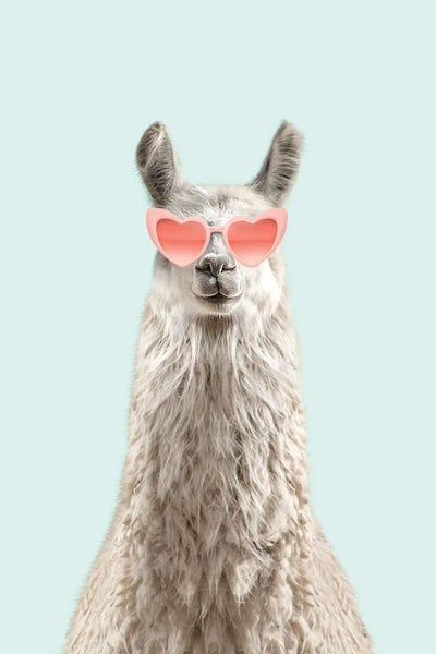 Llamas & Alpacas: Alpaca With Pink Sunglasses by Tiny Treasure Prints