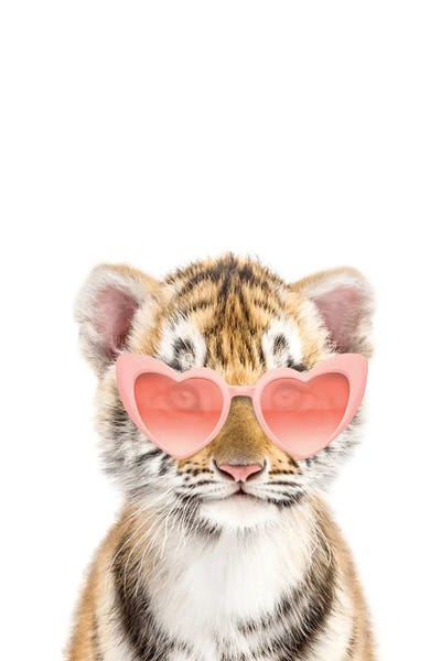 Eyewear: Tiger With Pink Sunglasses by Tiny Treasure Prints