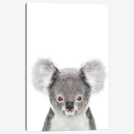 Baby Koala Canvas Print #TTP63} by Tiny Treasure Prints Canvas Print