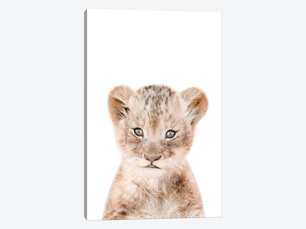 Lion Cub by Tiny Treasure Prints 1-piece Art Print