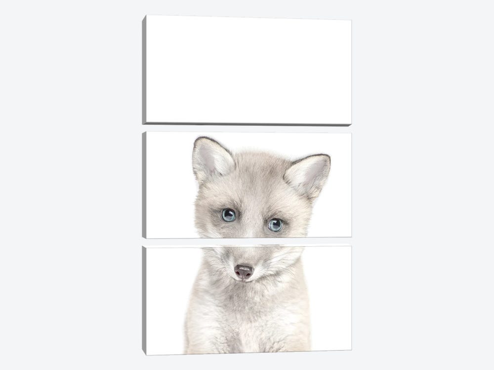 Tiny Baby Wonder Arctic Fox – Love the Last