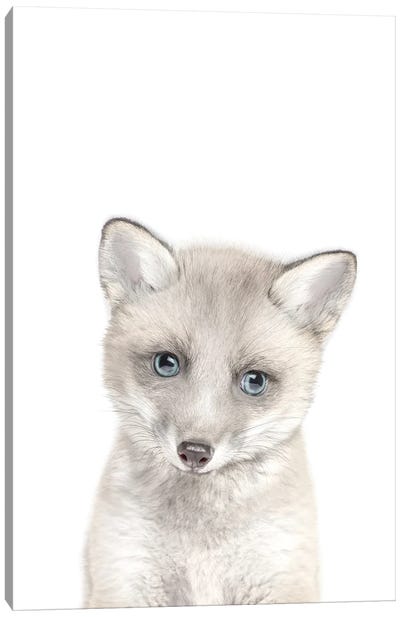 Arctic Baby Fox Canvas Art Print - Tiny Treasure Prints