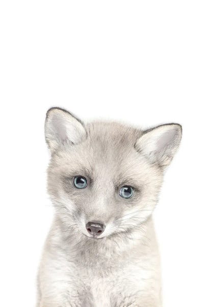Foxes: Arctic Baby Fox by Tiny Treasure Prints