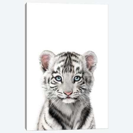 Baby White Tiger Canvas Print #TTP73} by Tiny Treasure Prints Canvas Art