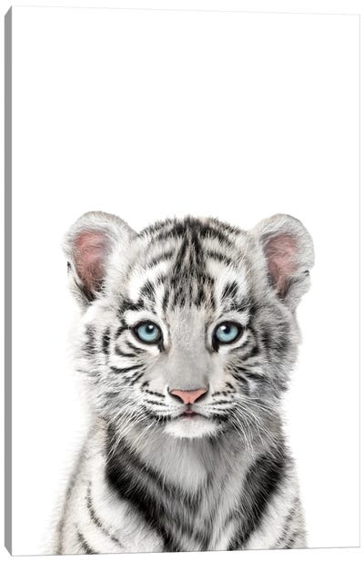 Baby White Tiger Canvas Art Print - Tiny Treasure Prints